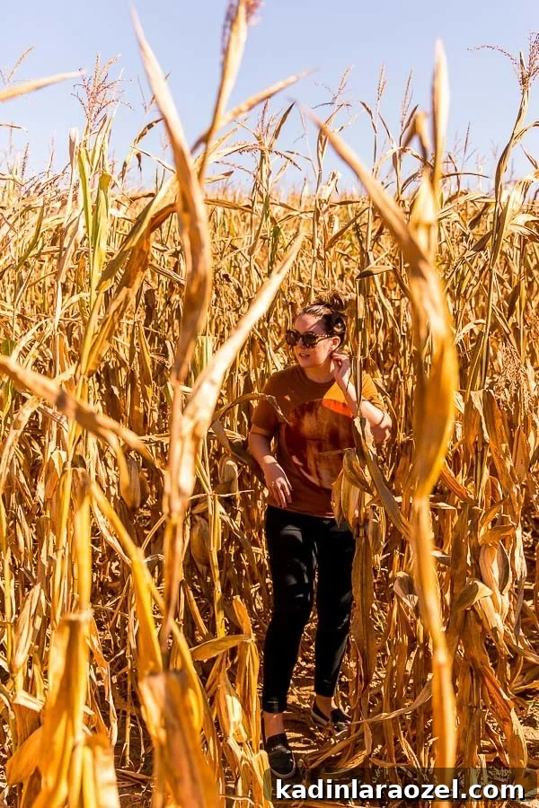 woman standing in large corn maze at Jaemor Farms wearing fall-inspired outfit