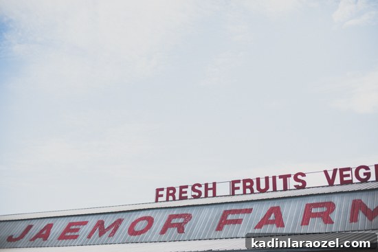 market sign for Jaemor Farms, Georgia with fresh fruit and veggies