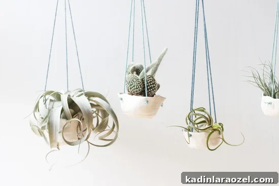 DIY Hanging Clay Planters: Step-by-Step Guide to Make Your Own 9 Hanging Clay Planters DIY