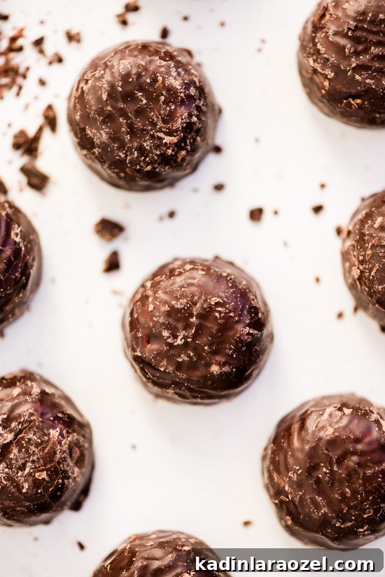 Dark chocolate covered marshmallows