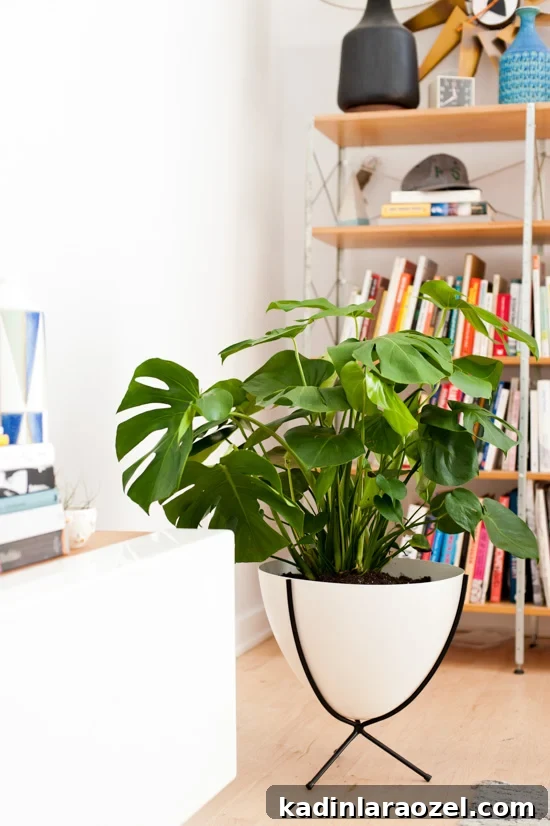 Midcentury bullet planter