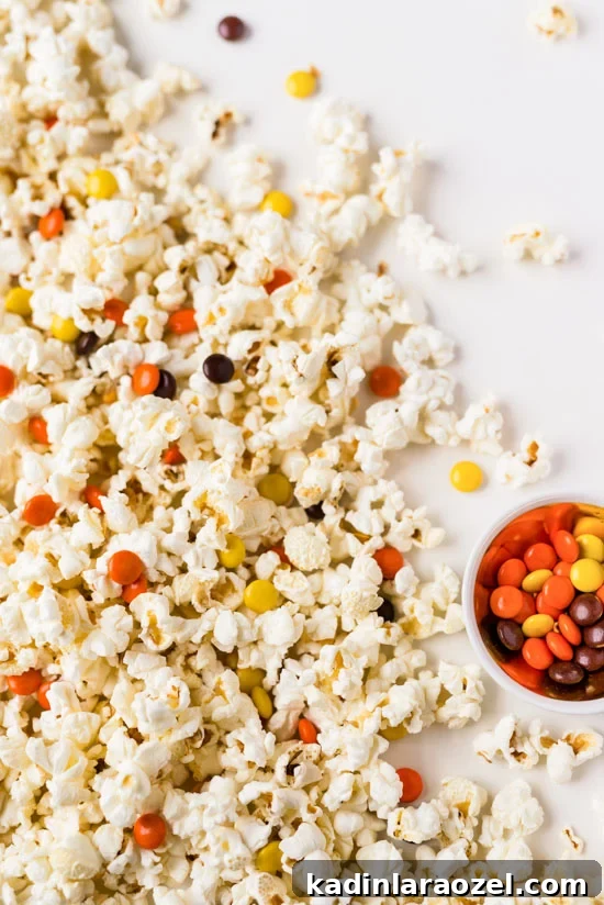 7 Delicious Popcorn Toppings to Sweeten Your Snack Time 5 Popcorn + Reese's Pieces