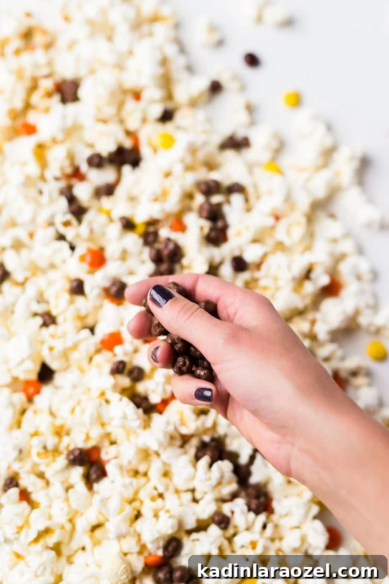 7 Delicious Popcorn Toppings to Sweeten Your Snack Time 7 7 (Delicious) Popcorn Toppings to Sweeten up Your Snacks