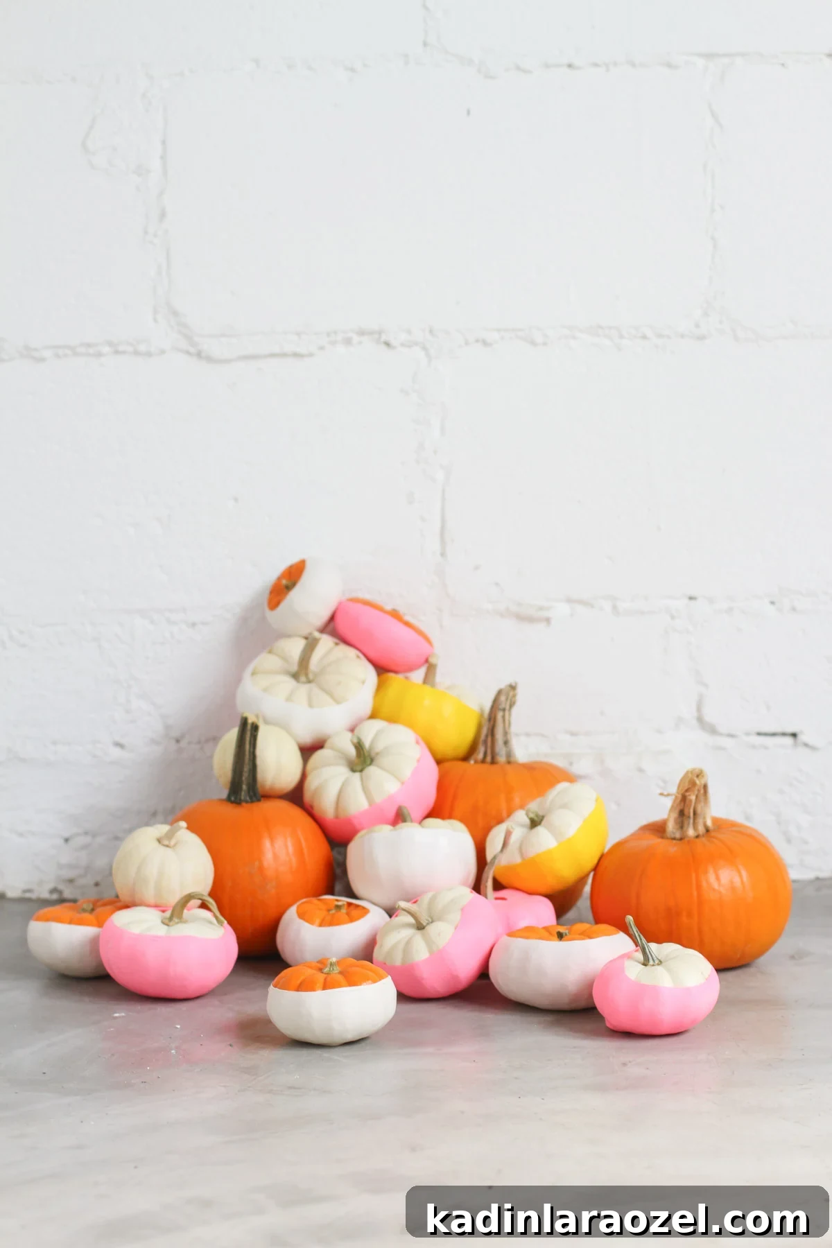 White color blocked pumpkins in bright, neon colors