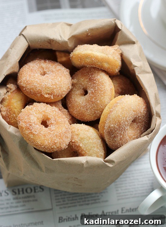 29 Irresistible Thanksgiving Recipes Your Guests Will Love 23 baked cinnamon sugar mini donuts