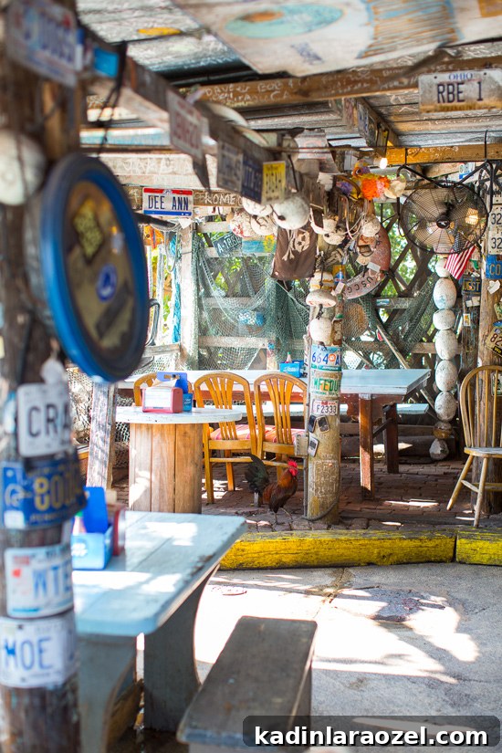 Key West Travel Guide