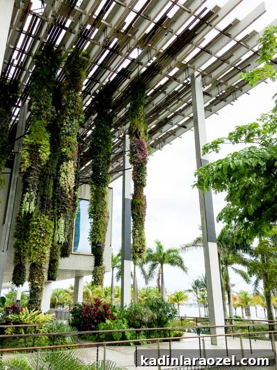 The Perez Art Museum, Miami Florida
