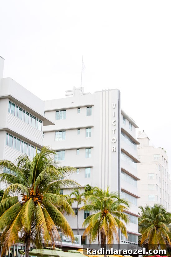 Miami Travel Guide: The Best Places to Visit in Miami, Florida