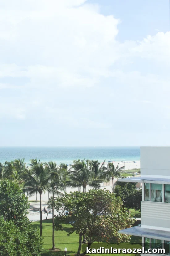 Miami Travel Guide: The Best Places to Visit in Miami, Florida