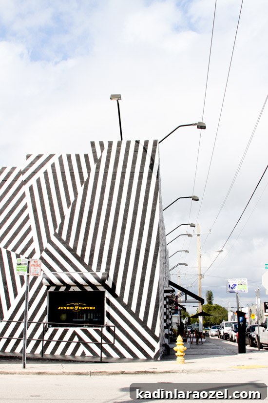 Top Things to Do in Miami: Explore Wynwood Walls Street Art 3 Places to Visit in Miami // Wynwood Walls