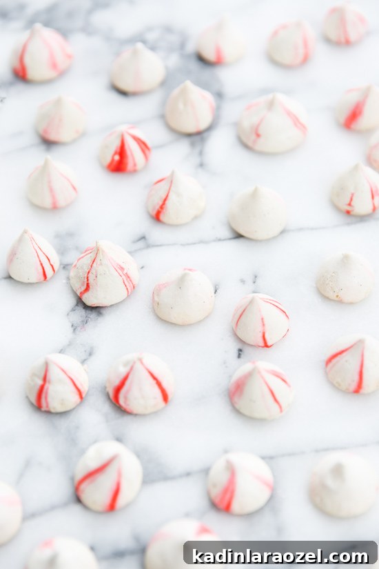 Blood orange vanilla bean meringues recipe for the holidays