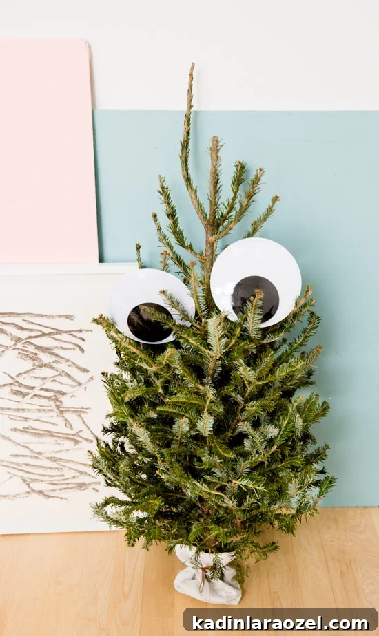 Googly-Eyed Mini Christmas Tree Decoration Ideas 2 unique-googly-eye-christmas-tree-idea