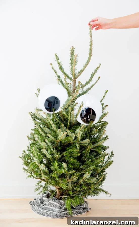 Googly-Eyed Mini Christmas Tree Decoration Ideas 3 unique-googly-eye-christmas-tree-idea8