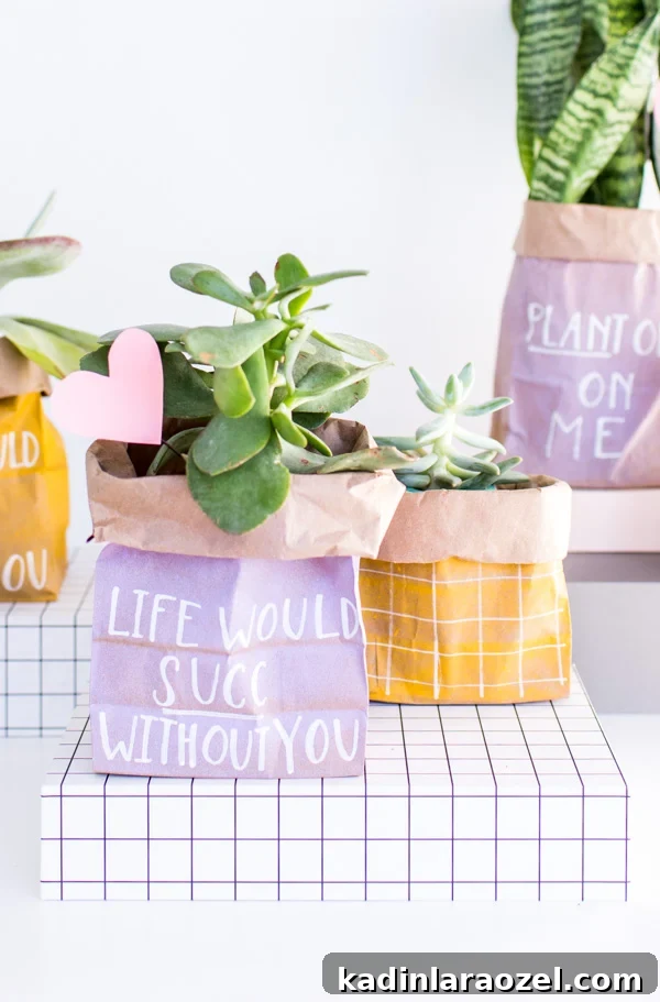 DIY Valentine's Plant Gifts: Budget-Friendly Ideas in 5 Minutes 21 Budget-Friendly DIY Valentines (That Don't Suck) in 5 Minutes