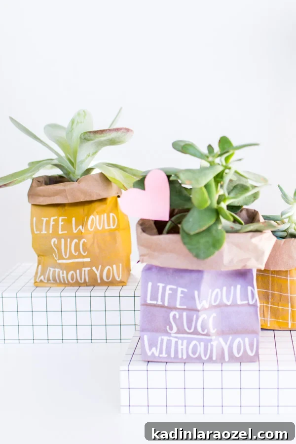 DIY Valentine's Plant Gifts: Budget-Friendly Ideas in 5 Minutes 11 Budget-Friendly DIY Gift Idea for Valentine's Day