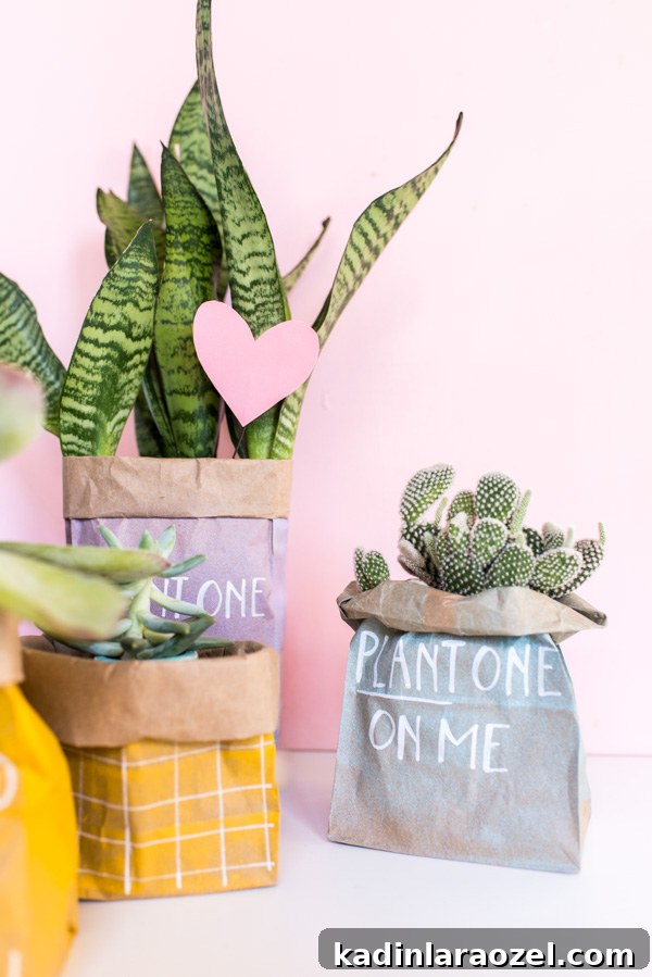 DIY Valentine's Plant Gifts: Budget-Friendly Ideas in 5 Minutes 22 Plant One On Me // Budget-Friendly DIY Valentines Using Spray Painted Paper Bags