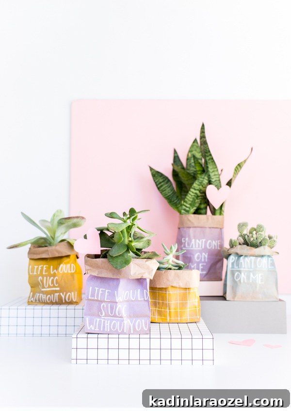 DIY Valentine's Plant Gifts: Budget-Friendly Ideas in 5 Minutes 23 Life Would Succ Without You // Budget-Friendly DIY Valentines Using Spray Painted Paper Bags