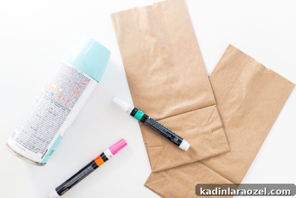 DIY Valentine's Plant Gifts: Budget-Friendly Ideas in 5 Minutes 5 Budget-Friendly DIY Valentines Using Spray Painted Paper Bags