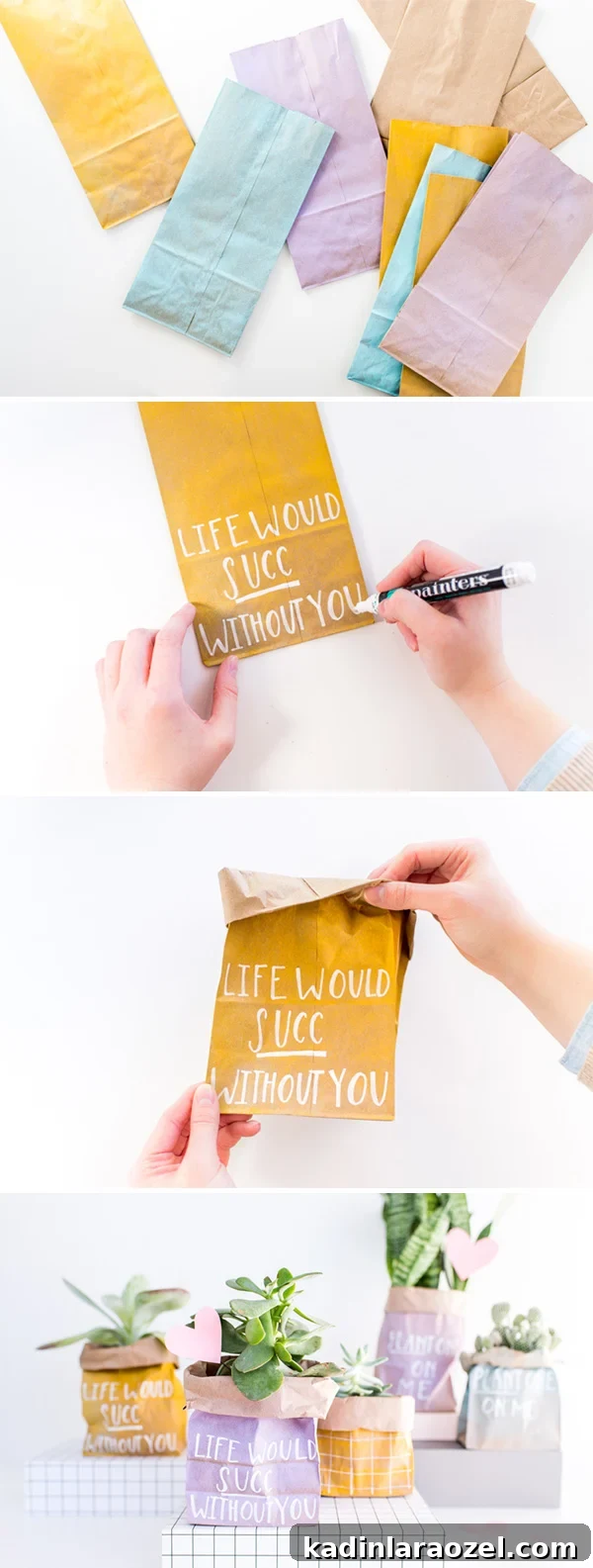 DIY Valentine's Plant Gifts: Budget-Friendly Ideas in 5 Minutes 6 DIY Planted Paper Bag Valentines in 5 Minutes