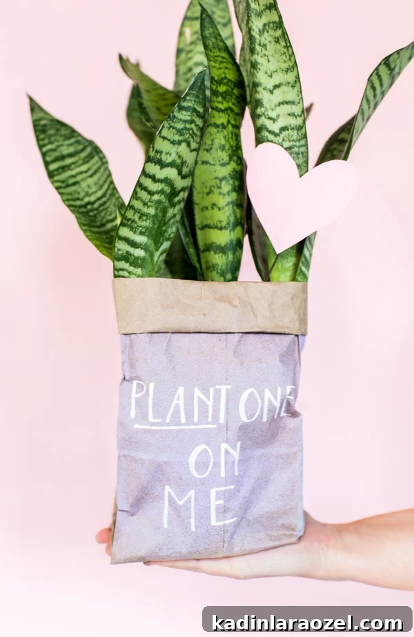 DIY Valentine's Plant Gifts: Budget-Friendly Ideas in 5 Minutes 8 budget-friendly-diy-valentines-with-plants-5