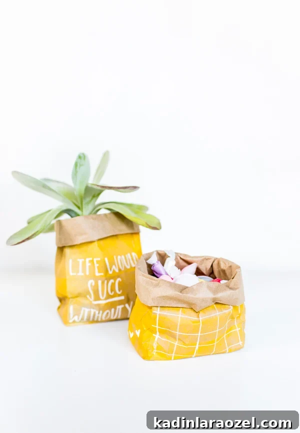 DIY Valentine's Plant Gifts: Budget-Friendly Ideas in 5 Minutes 9 DIY Painted Paper Bags as Valentines in 5 Minutes