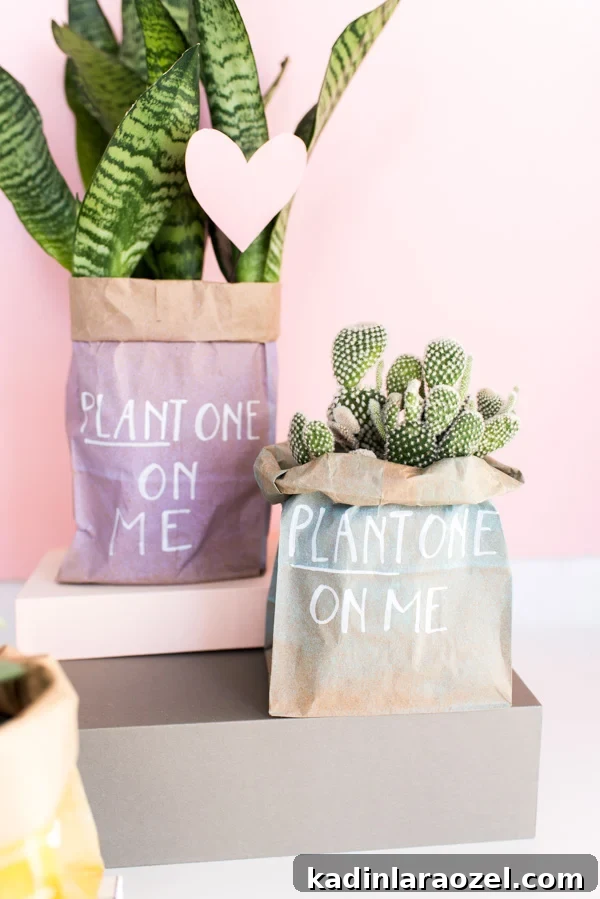 DIY Valentine's Plant Gifts: Budget-Friendly Ideas in 5 Minutes 10 Plant One On Me... DIY Valentines in 5 Minutes