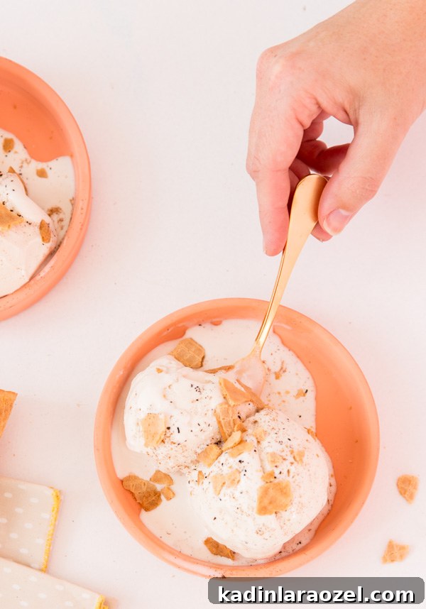 Homemade Chai Ice Cream Recipe You’ll Crave 4 Homemade Chai Ice Cream Recipe