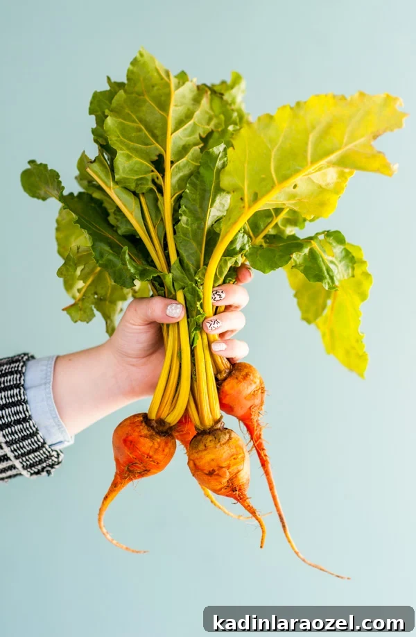 Track, Play, and Reboot: Fun Food Activities to Get Back on Track in 2016 3 Golden bunch of beets