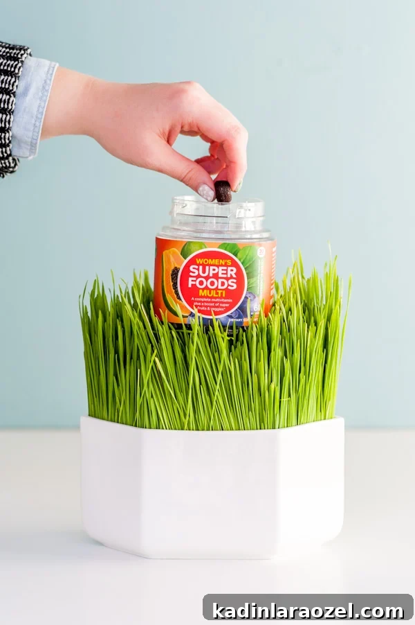 Track, Play, and Reboot: Fun Food Activities to Get Back on Track in 2016 9 OLLY Women's Super Food Multi Vitamins