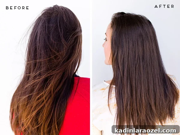 2 Quick Hairstyles: 2 Ways to Style Hair in 10 Minutes 4 Before and After Hair Side by Side, with dry hair and more moisturized hair.