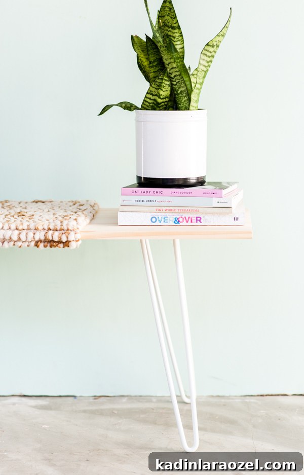 Build a Stylish Budget Bench in Under an Hour 7 Modern DIY Wood Bench in Under an Hour