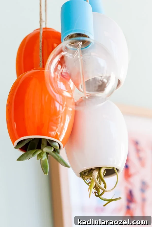 Build a Stylish Budget Bench in Under an Hour 9 Hanging cluster of colorful lighting and plant pods