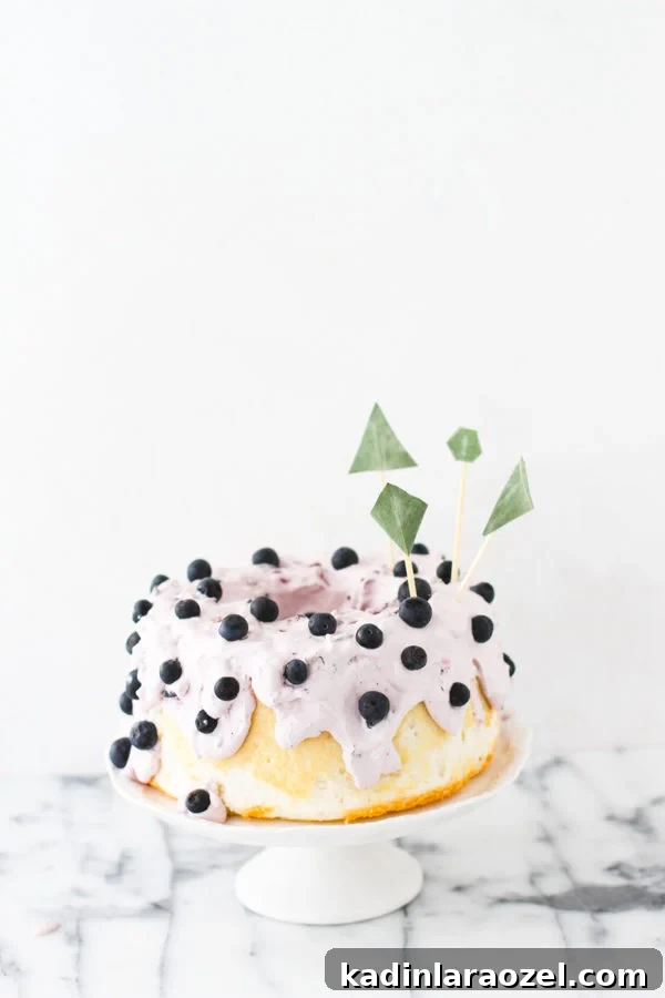 99 Problems? 17 Cakes That’ll Fix Your Monday 18 Fresh blueberry whipped cream angel food cake