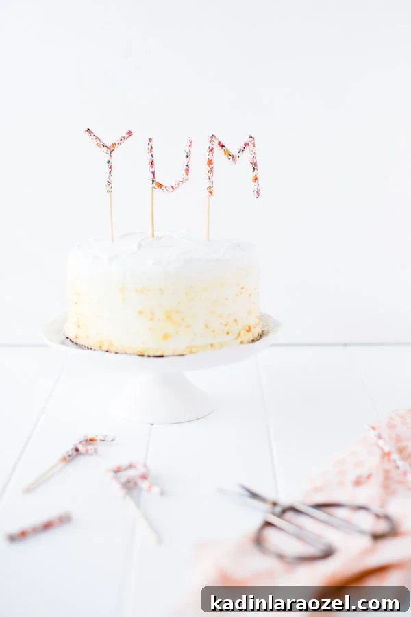 99 Problems? 17 Cakes That’ll Fix Your Monday 8 YUM Cake Topper
