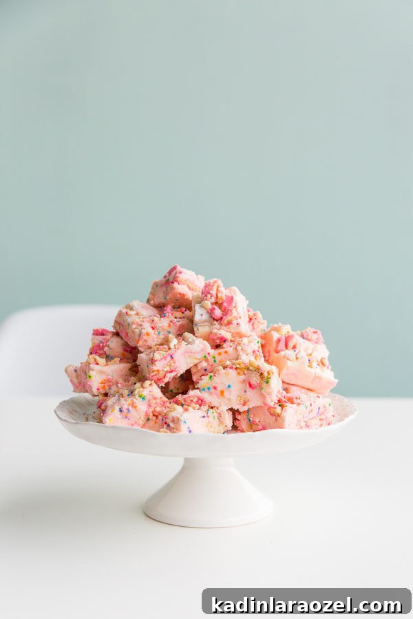 Animal Cracker Fudge Recipe for Fun, Crowd-Pleasing Treats 57 animal cracker fudge recipe