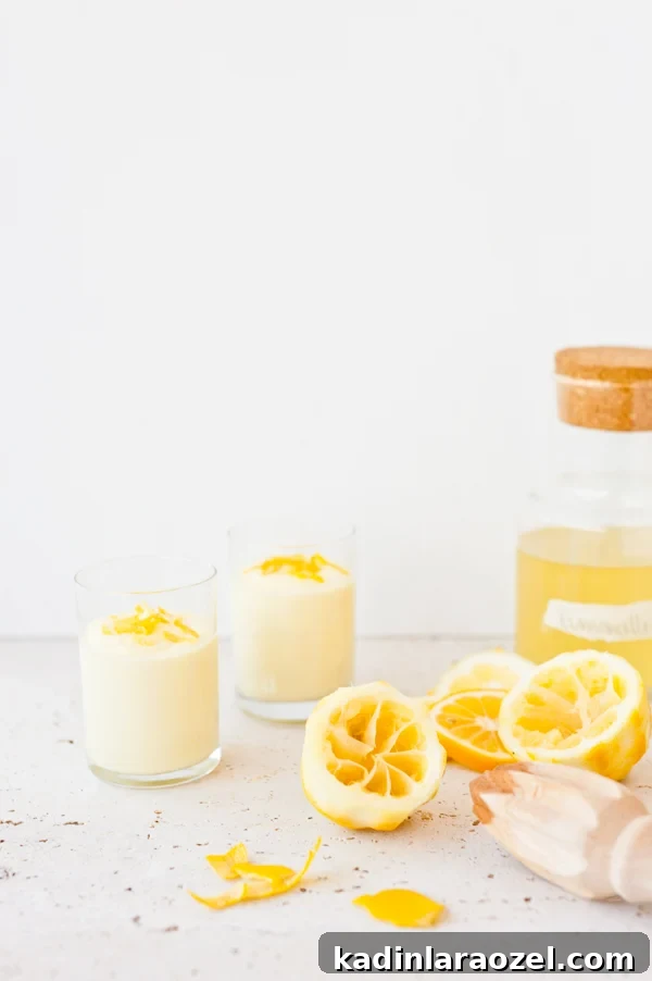 Homemade limoncello mousse recipe