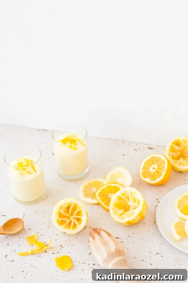 Homemade limoncello mousse recipe