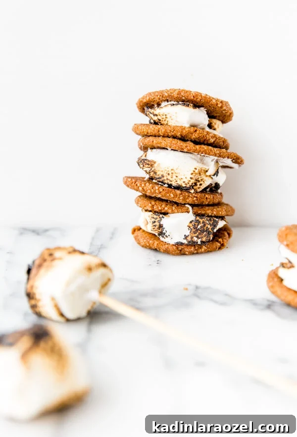 Butterscotch & Toasted Marshmallow Gingersnap Sandwiches 3 Gingersnap and toasted marshmallow dessert sandwiches