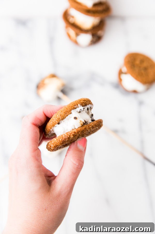 Butterscotch & Toasted Marshmallow Gingersnap Sandwiches 4 Gingersnap and toasted marshmallow dessert sandwiches