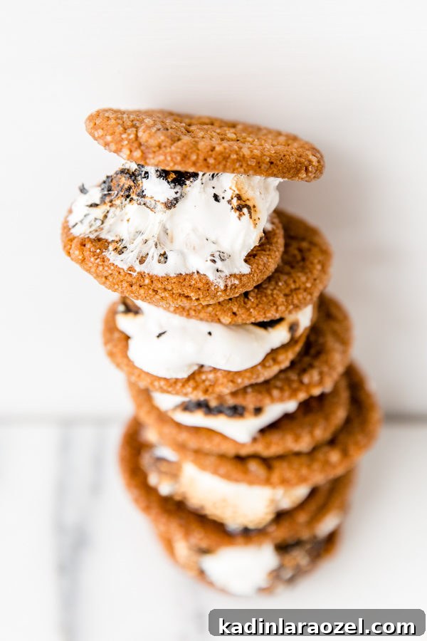 Butterscotch & Toasted Marshmallow Gingersnap Sandwiches 5 Gingersnap and toasted marshmallow dessert sandwiches