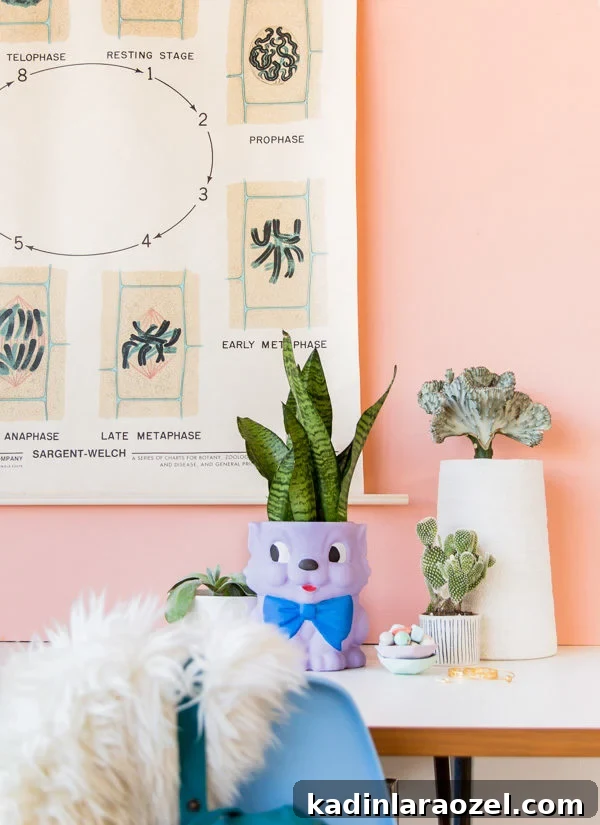 How to Paint Ceramics + Transform a Cookie Jar into a Cat Planter