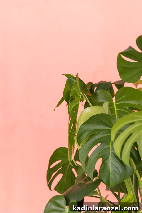 Coral pink + green