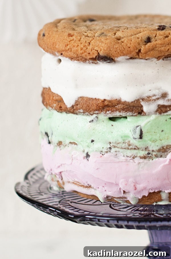 31 Foods I’m Crazy About: Delicious Picks You’ll Love 20 ce cream sandwich cake
