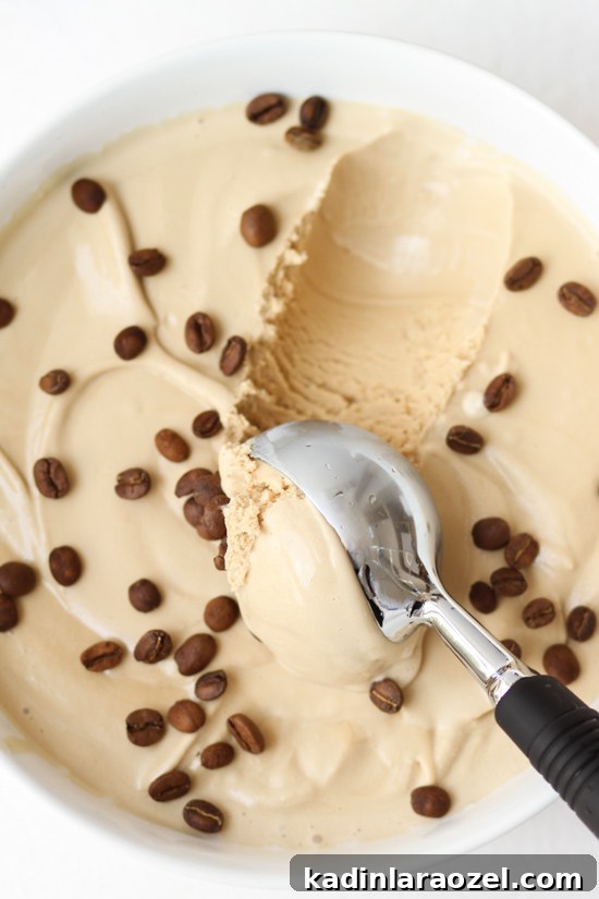 31 Foods I’m Crazy About: Delicious Picks You’ll Love 28 homemade coffee ice cream