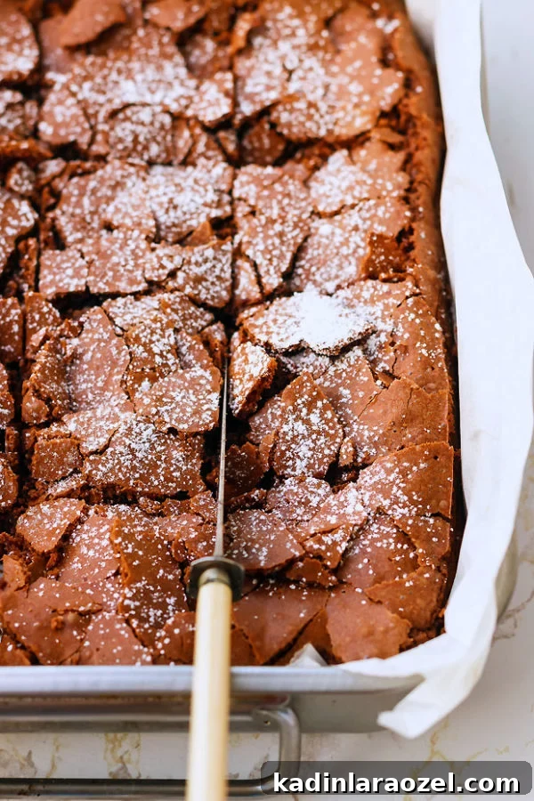 31 Foods I’m Crazy About: Delicious Picks You’ll Love 6 double chocolate brownie recipe