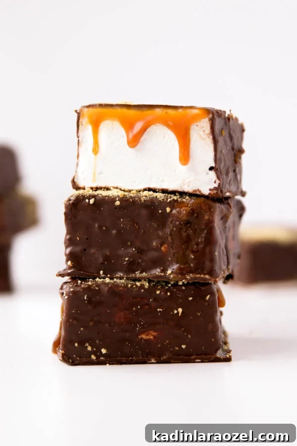 31 Foods I’m Crazy About: Delicious Picks You’ll Love 8 s'more marshmallows