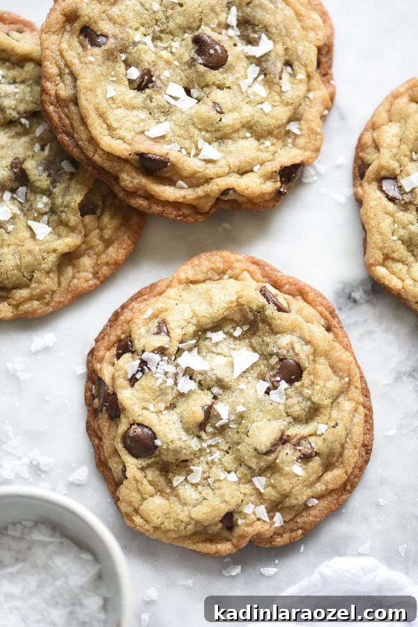 31 Foods I’m Crazy About: Delicious Picks You’ll Love 9 salted chocolate chip cookies