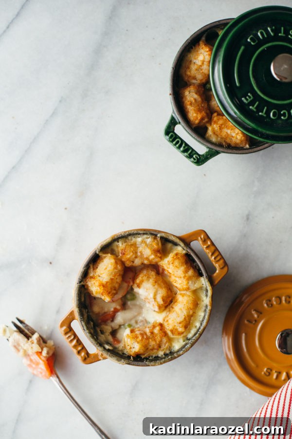 31 Foods I’m Crazy About: Delicious Picks You’ll Love 10 tater tot chicken pot pie