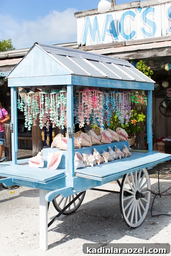 14 Must-Bookmark Vacation Spots for Your Next Rainy Day 11 Key West Travel Guide
