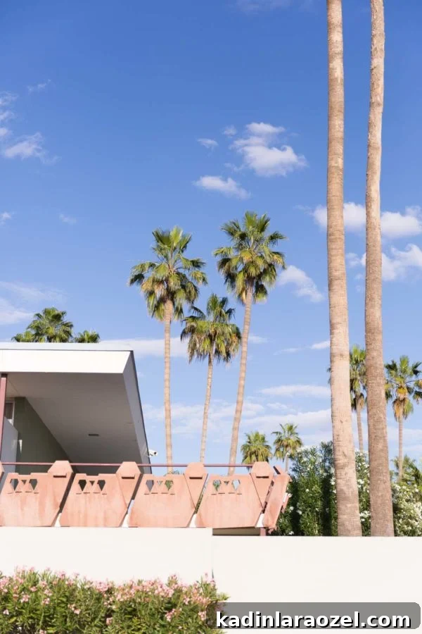 Scottsdale Travel Guide: Top Attractions, Dining & Outdoor Fun 6 A Travel Guide to Scottsdale, AZ